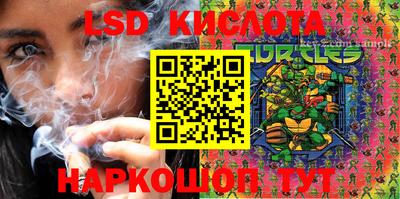 прущие грибы Ярославль