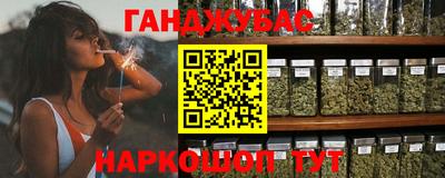 прущие грибы Ярославль